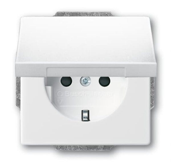 Busch-Jäger SCHUKO® Steckdosen-Einsat 20EUKB-84, 2CKA002018A1520