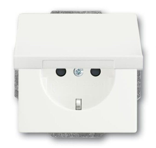 Busch-Jäger SCHUKO-Steckdosen-Einsat 20EUKB-884, 2CKA002018A1522