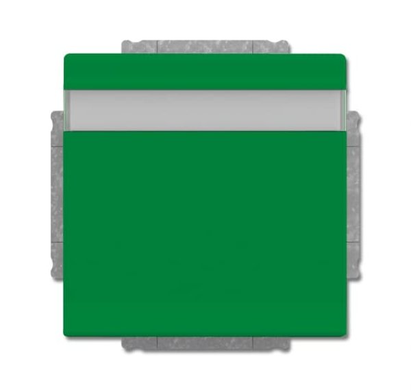Busch-Jäger SCHUKO® Steckdosen-Ei 20EUKNB-13-82, 2CKA002018A1534