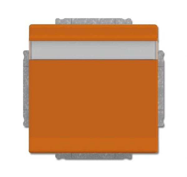 Busch-Jäger SCHUKO® Steckdosen-Ei 20EUKNB-14-82, 2CKA002018A1535
