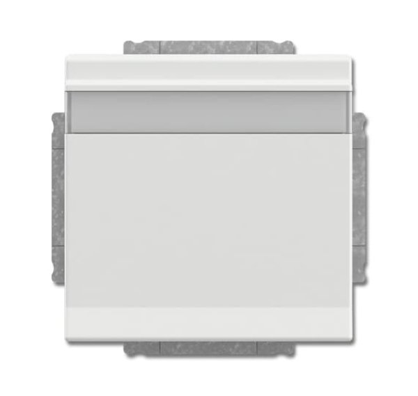 Busch-Jäger SCHUKO Steckd.m.Klappd. 20EUKNB-884