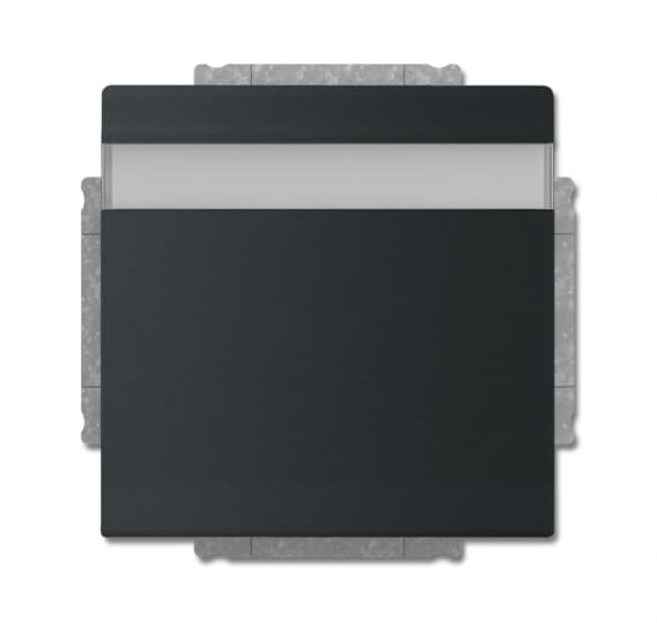 Busch-Jäger SCHUKO® Steckdosen-Eins 20EUKNB-885, 2CKA002018A1542