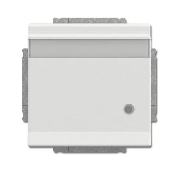 Busch-Jäger SCHUKO Steckd.m.Klappd 20EUKNBL-884