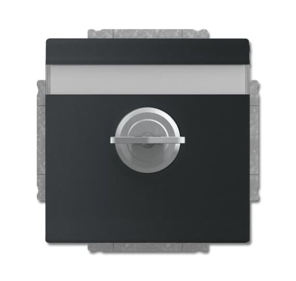 Busch-Jäger SCHUKO® Steckdosen-Ei 20EUKNBSL-885, 2CKA002018A1567