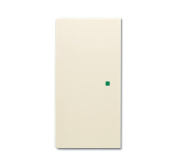 Busch-Jäger Wippe 2-fach  6230-20-82, 6220-0-0401