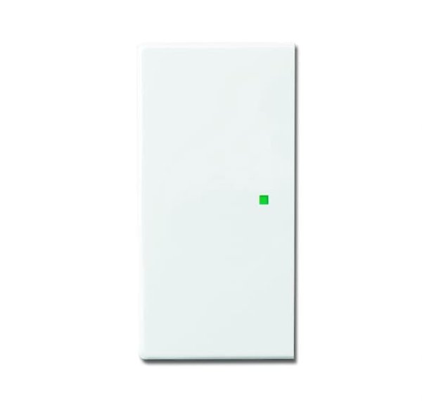 Busch-Jäger 6230-20-84 Busch-free@home®, Abdeckungen future® linear, Wippe 2-fach, studioweiß (6220-0-0049)