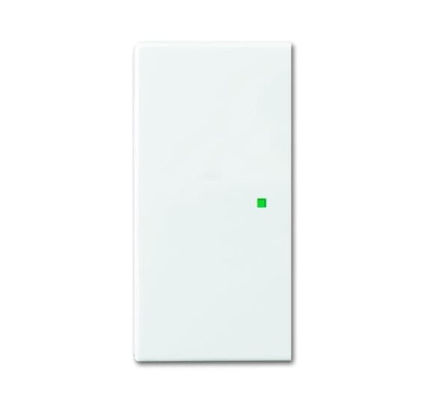 Busch-Jäger Wippe 2-fach blind 6230-20-914, 6220-0-0360