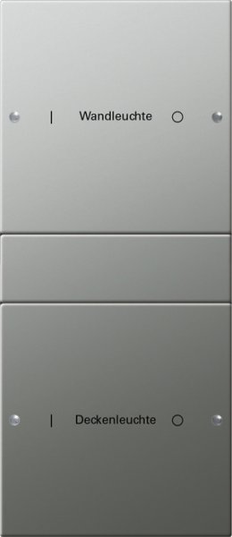 GIRA Wippenset 2f (1+1)beschr. S 2132602