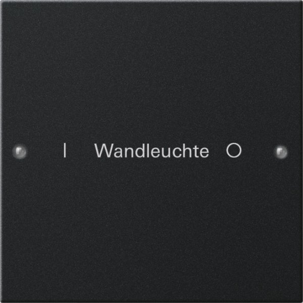 GIRA Wippenset 1f beschr. System 2201005