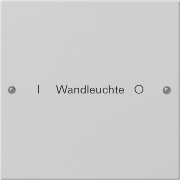 GIRA Wippenset 1f beschr. System 2201015