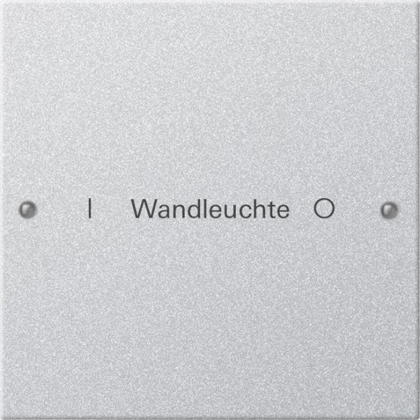 GIRA Wippenset 1f beschriftbar 220126