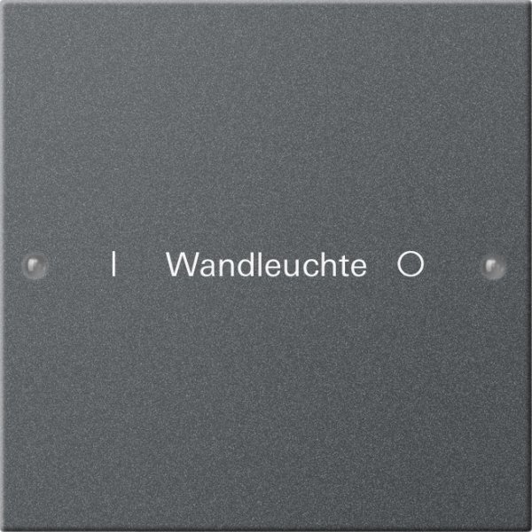 GIRA Wippenset 1f beschriftbar 220128