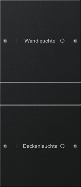 GIRA Wippenset 2f (1+1) beschr. 2202005