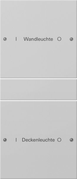 GIRA Wippenset 2f (1+1) beschr. 2202015