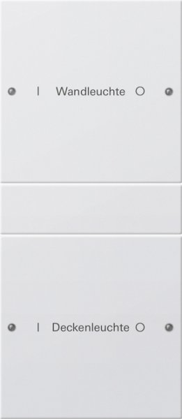 GIRA Wippenset 2f beschriftbar 220203