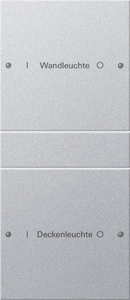 GIRA Wippenset 2f beschriftbar 220226