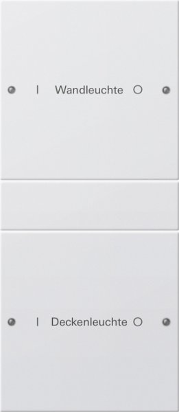 GIRA Wippenset 2f beschriftbar 220227