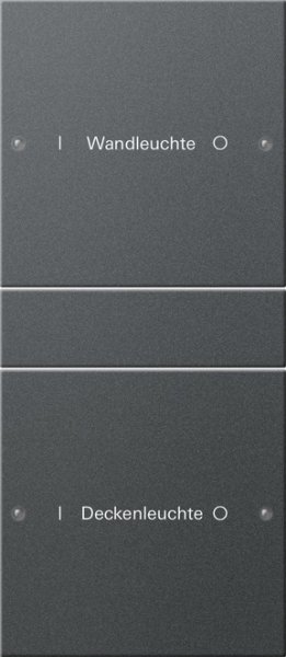 GIRA Wippenset 2f beschriftbar 220228