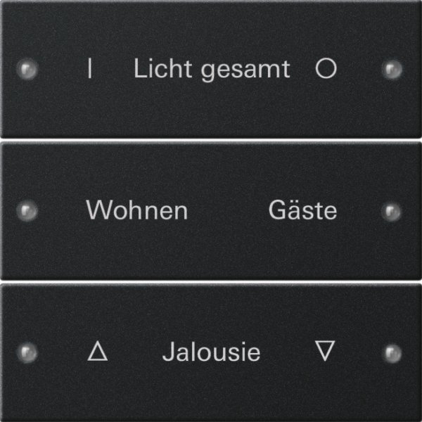 GIRA Wippenset 3f beschr. System 2203005