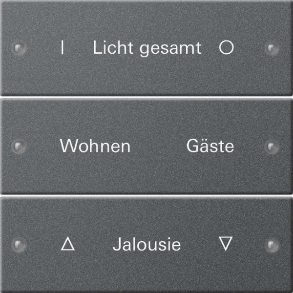 GIRA Wippenset 3f beschriftbar 220328