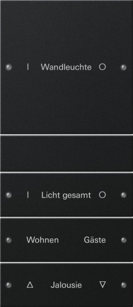 GIRA Wippenset 4f (1+3) beschr. 2204005