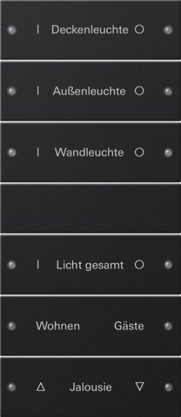 GIRA Wippenset 6f (3+3) beschr. 2206005