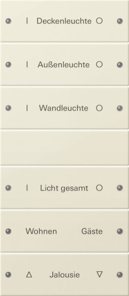 GIRA Wippenset 6f beschriftbar 220601