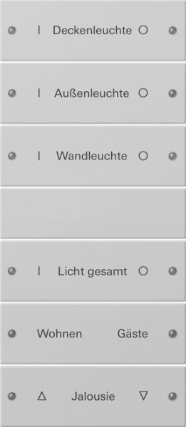 GIRA Wippenset 6f (3+3) beschr. 2206015