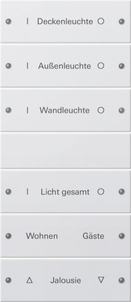 GIRA Wippenset 6f beschriftbar 220603