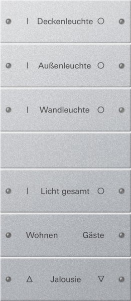 GIRA Wippenset 6f beschriftbar 220626