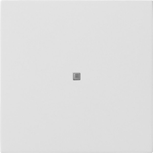 GIRA KNX Taster Wippe 1f Flächen 5171112