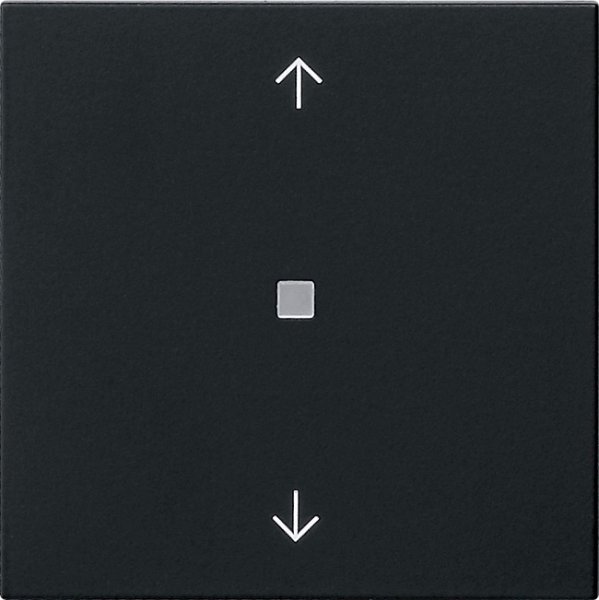 GIRA S3000 Bedienaufs. BTPfeile 5382005