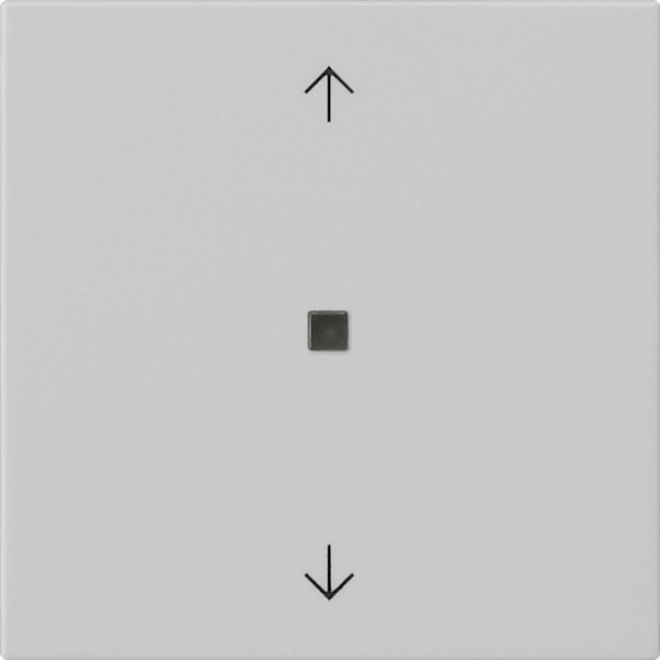 GIRA S3000 Bedienaufs. BTPfeile 5382015