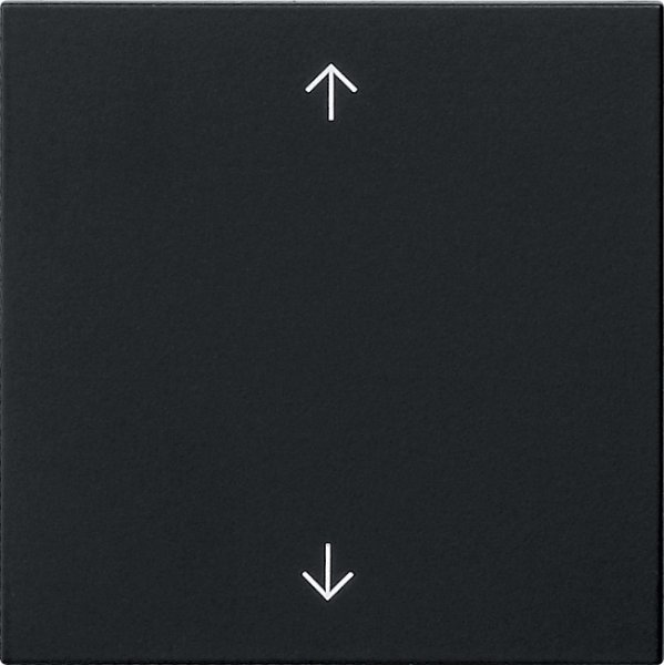 GIRA Wippe 1f Pfeile  5389005