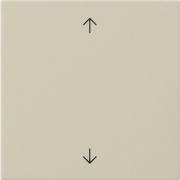 GIRA Wippe 1f Pfeile  538901