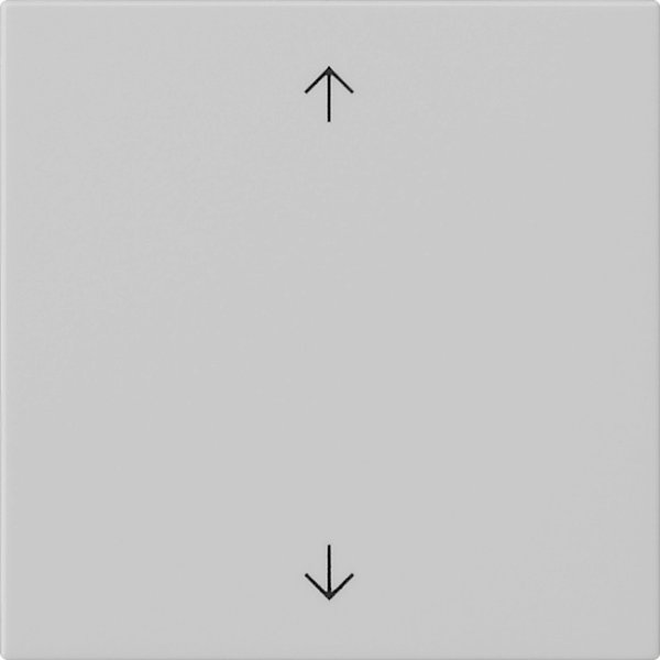 GIRA Wippe 1f Pfeile  5389015