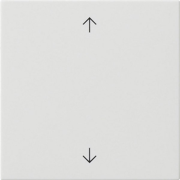 GIRA Wippe 1f Pfeile  538903