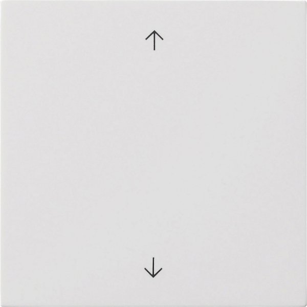 GIRA Wippe 1f Pfeile  5389112