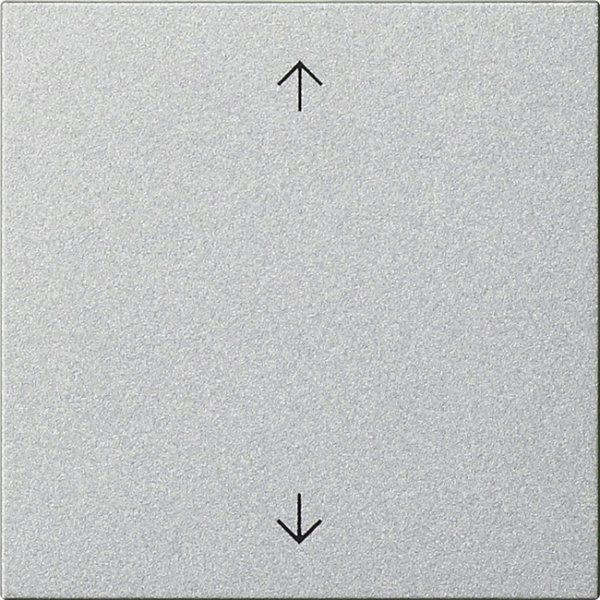 GIRA Wippe 1f Pfeile  538926