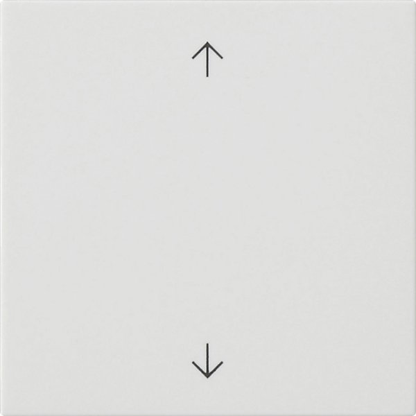 GIRA Wippe 1f Pfeile  538927