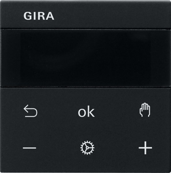 GIRA S3000 RTR Display  5393005