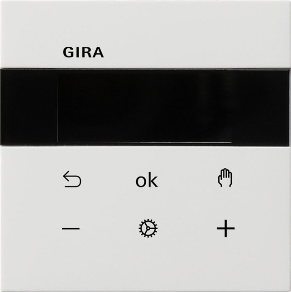 GIRA S3000 RTR Display  5393112