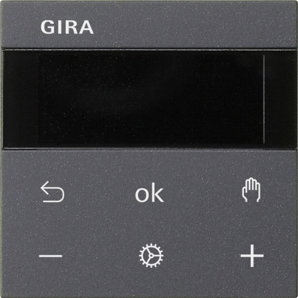 GIRA S3000 RTR Display  539328