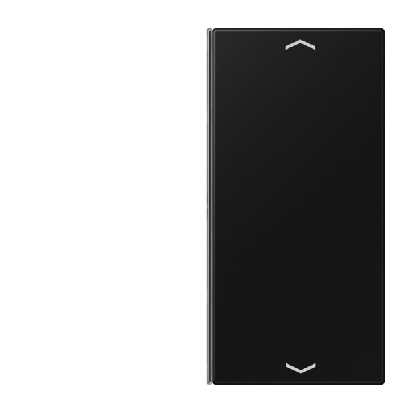 Jung Taste 2fach, Pfeil LS402TSAPSWM